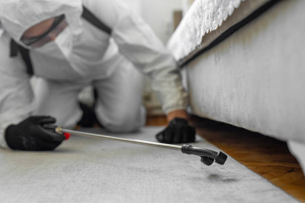 Professional Pest Control technician working in Morrison County County, MN